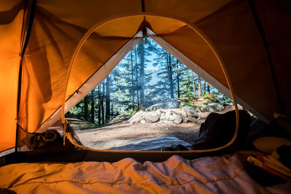 A tent pitched at a wooded site